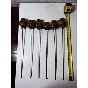 Floral Stems Dried Artichoke-Set Of 6
